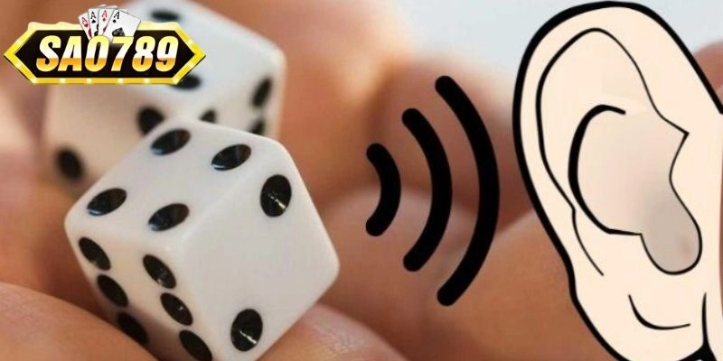 Giới thiệu sơ nét về cách nghe hột Tài Xỉu